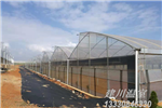 昆明虹華園藝鋼架大棚-簡(jiǎn)陽(yáng)建川溫室施工案例 昆明虹華園藝鋼架大棚-簡(jiǎn)陽(yáng)建川溫室施工案例